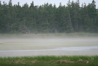 42_NB_Ile-Miscou_Brume.jpg