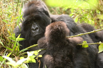 Sabana and her baby Uburanga