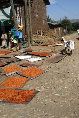 Drying spices in the sun