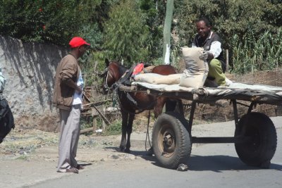 Street scene, Gondar.