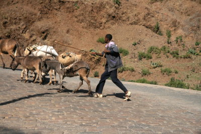 The roads near Lalibela carry more pedstrians and animals than automobiles.
