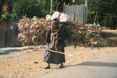 A woman brings firewood (eucalyptus) down from the hills on the outskirts of Addis Ababa