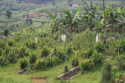 Chinese graves in rural Rwanda