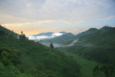 Mist-covered hills of southwestern Uganda at sunrise