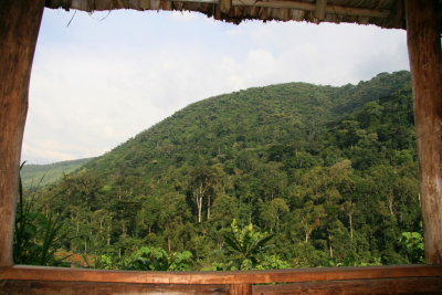 The Volcanoes Bwindi Lodge has a wonderful view of the Impenetrable Forest.