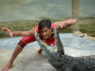 Show at Crocodile Farm Near Bangkok