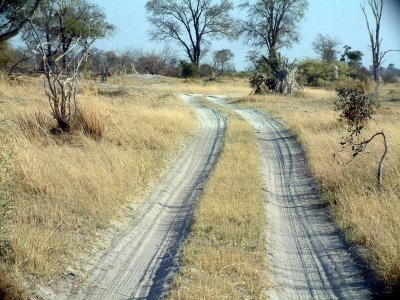 Typical road in Moremi -- 4WD required!