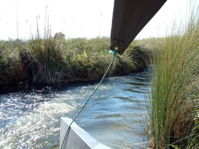 Boat ride through narrow channels in the Delta