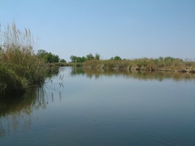 Picturesque waters of the Delta