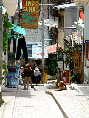 Streets of Aguas Calientes