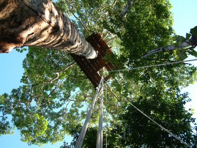The way up to the Lodge's zipline platforms