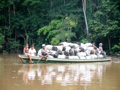 Canoe loaded with charcoal