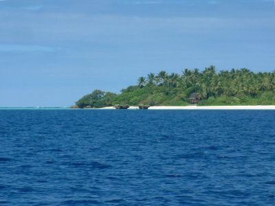 Our fale nestled in the trees