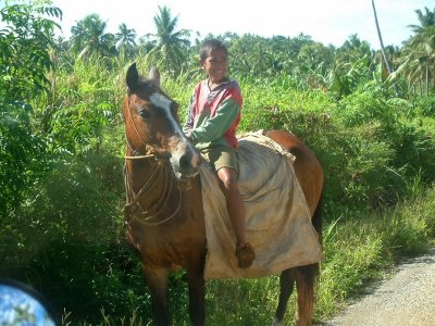 A Tongan Boy and His Horse