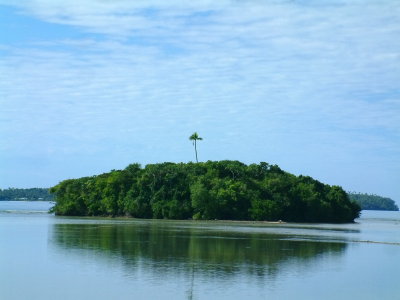 Alfalfa Island, so named for the lone palm tree at the top