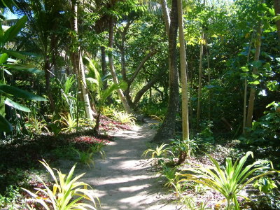 Fafa Island's Bush Trail