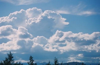 Skies