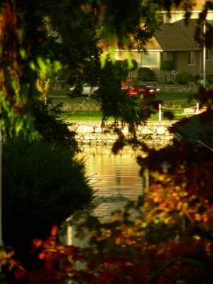 Motel across the Waterway