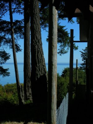 Nanas side fence