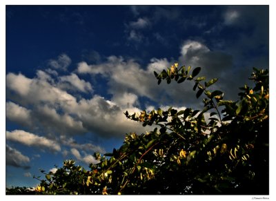 Clouds