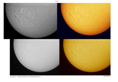 Sun in H-alpha