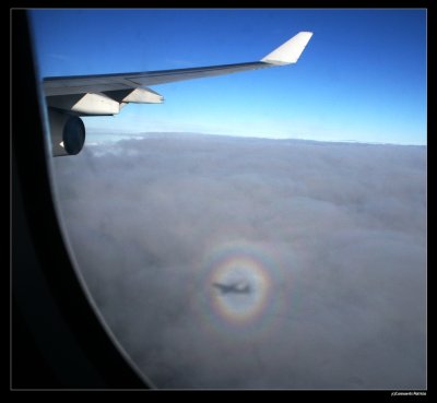 Ringed glory and brocken spectre shadow
