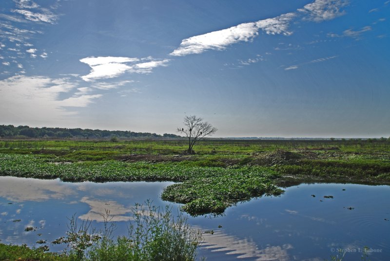 The Prairie