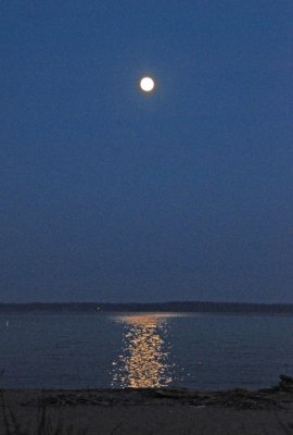 Moon over Potomac
