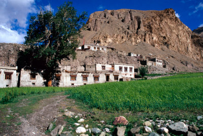 Ladakh - Markha Valley
