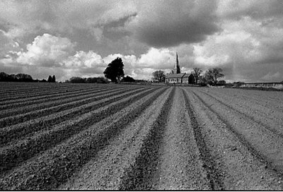 g6/56/787156/3/83652633.N76uTeBl.jpg
