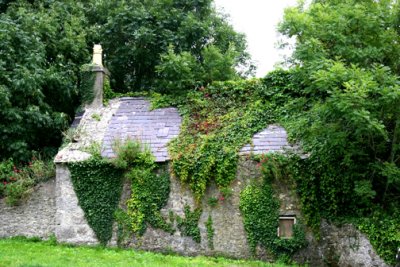 Ivy Cottage Anglesey North Wales.
