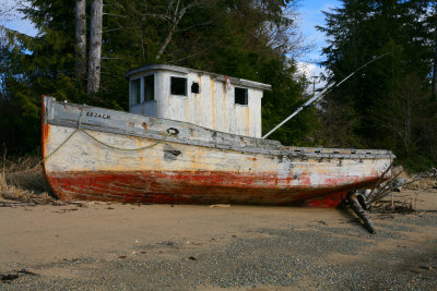 near Masset, Queen Charlotte Islands