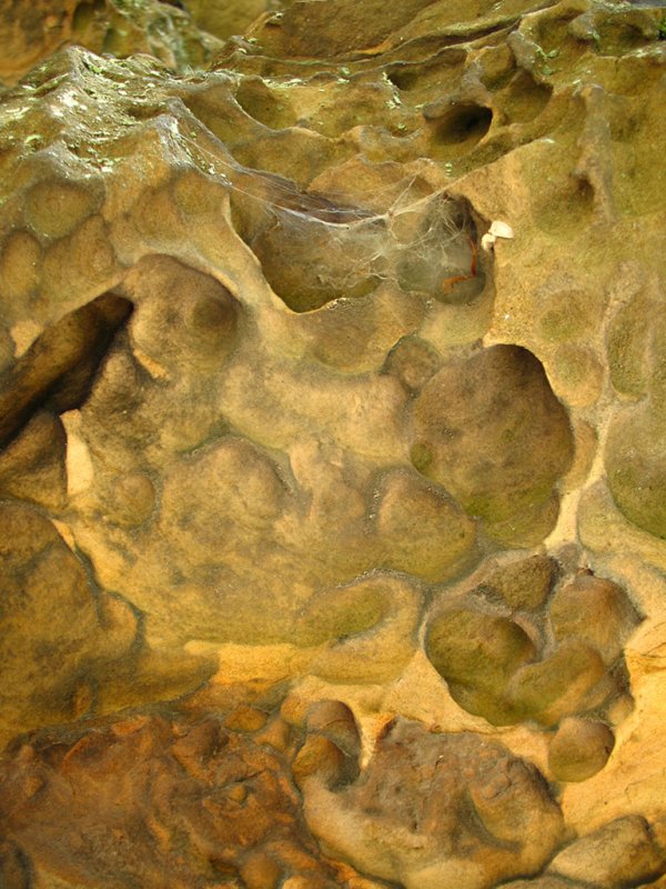 Sandstone1dn.jpg