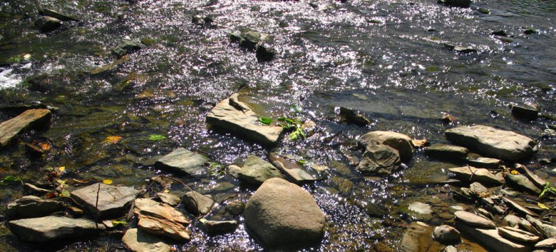 riverdn.jpg