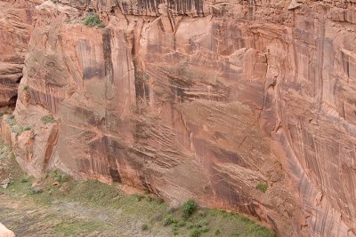 Cliff face at Tsegi Overlook