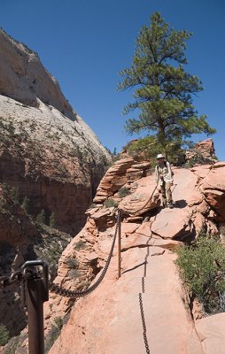 Negotiating the ridge to Angels Landing