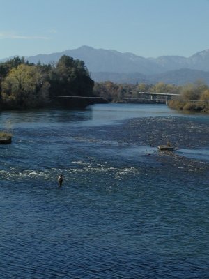 PB300015.FlyFisherman-r8.jpg