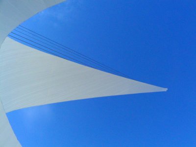 PB300036.Lines-r8.jpg