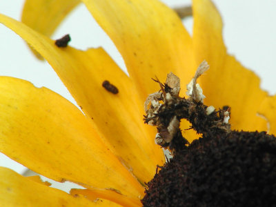 g6/57/14957/3/82740700.n3amAuFd.jpg