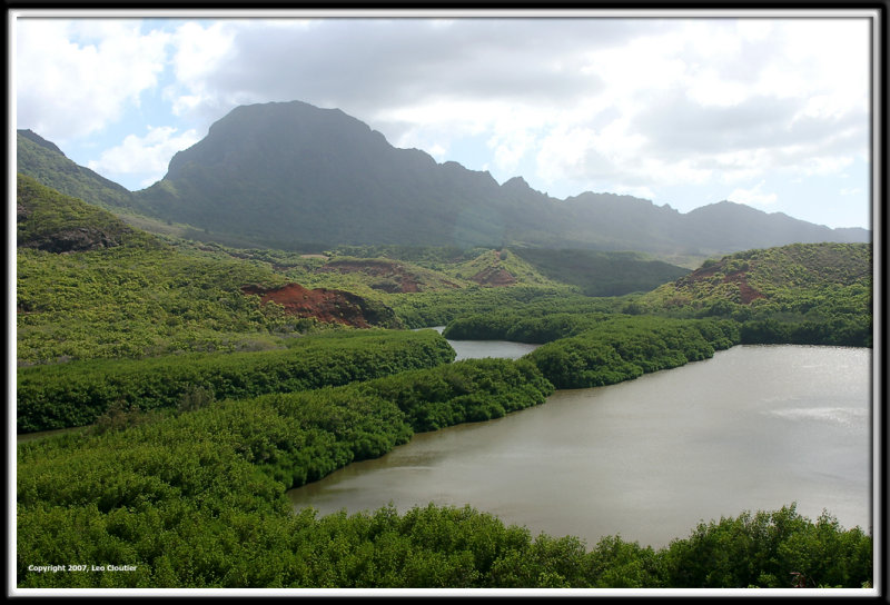 kauai_7334.jpg