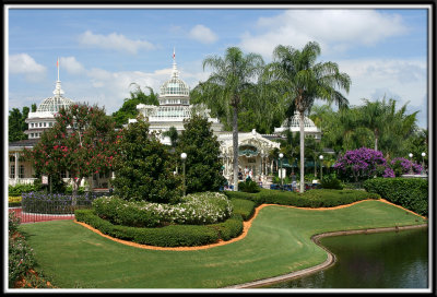 disney_6678.jpg