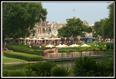 disney_6782.jpg