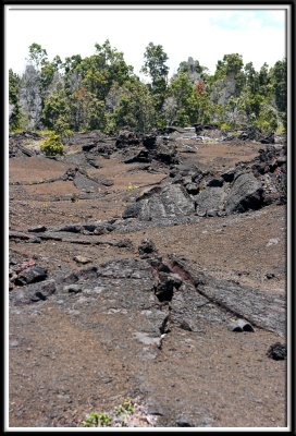 hilo_7596.jpg