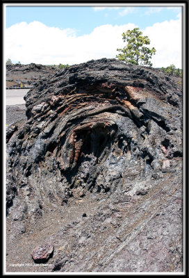 hilo_7606.jpg