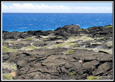 hilo_7610.jpg