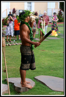 luau_7342.jpg