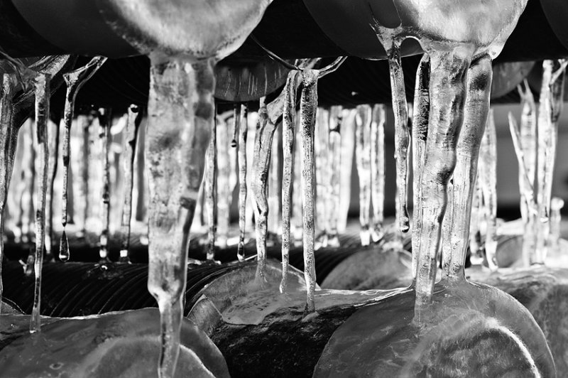 DSC_3277.jpg