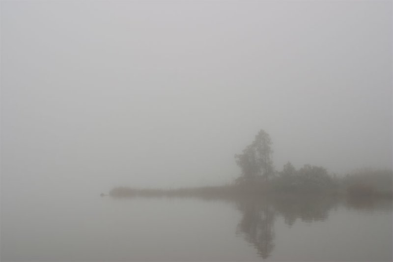 Fog