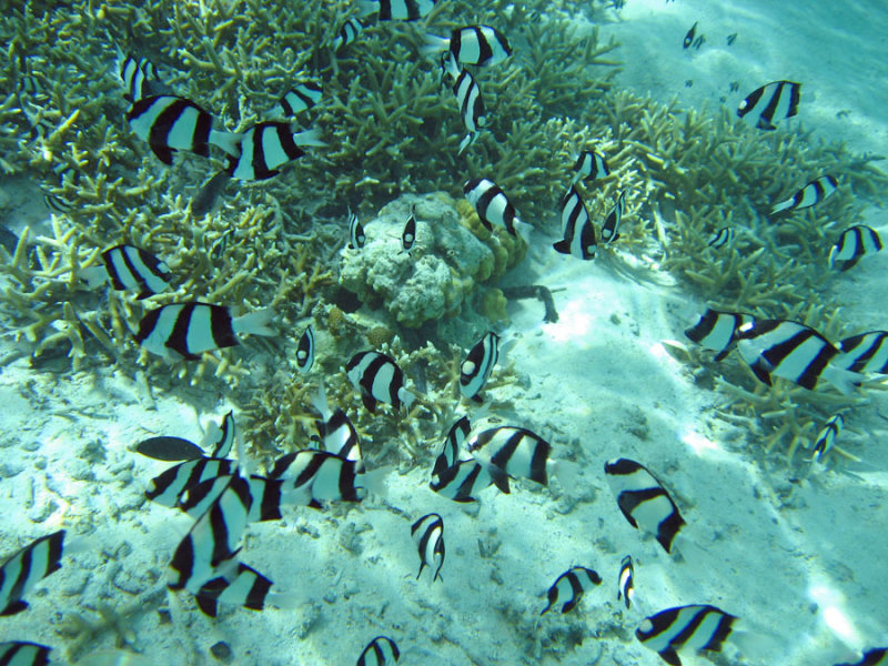 Underwater7