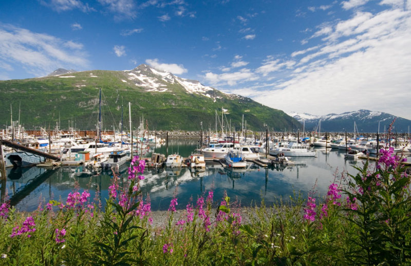 Small boat harbor - Whittier, AK